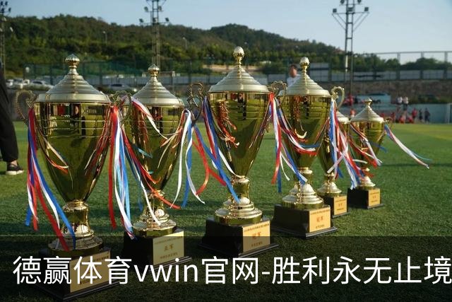 德赢体育vwin官网-胜利永无止境公司简介